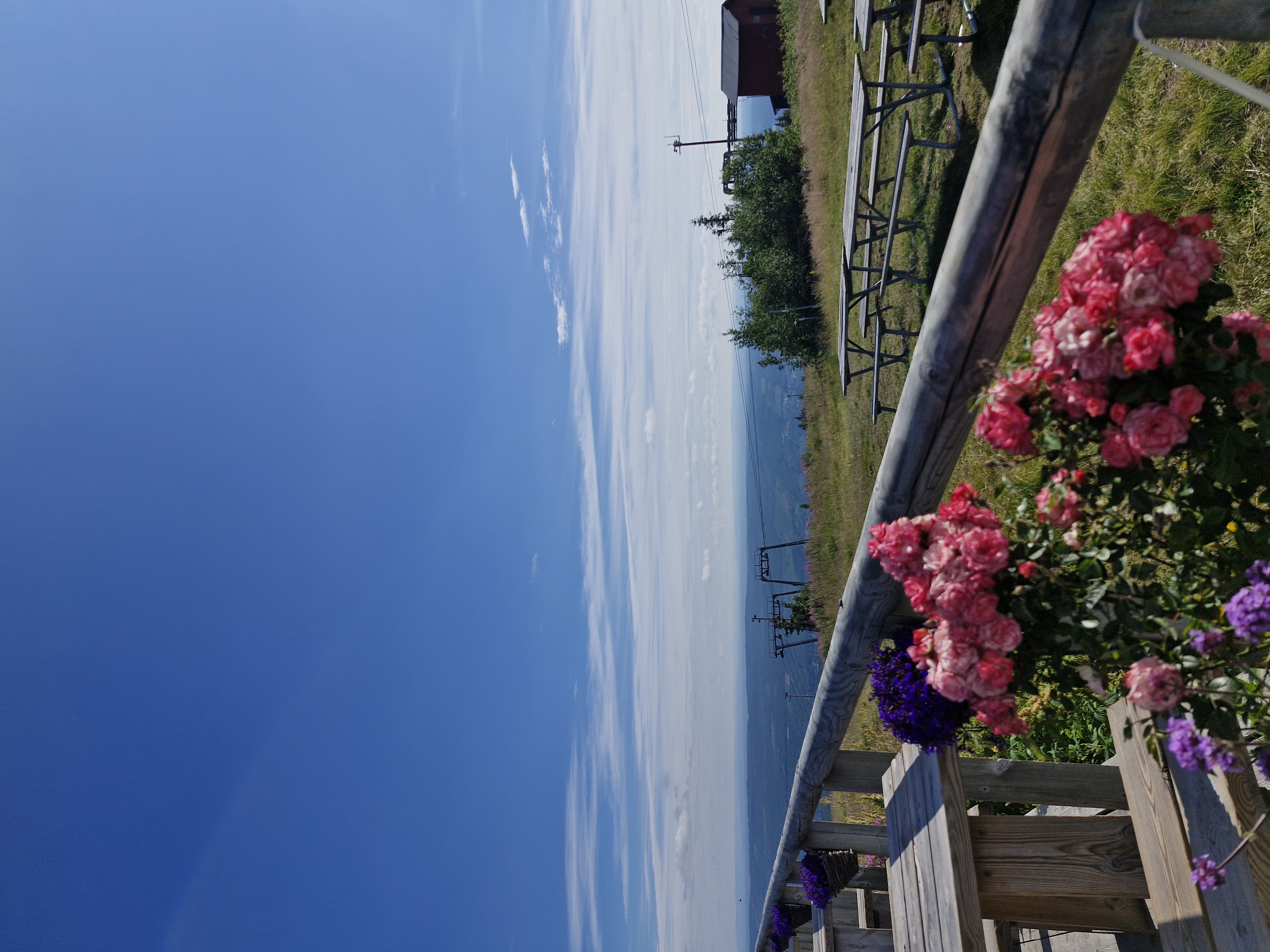 Welcome to enjoy a coffee break with a view at us!